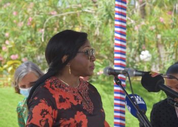 Un prix spécial  leadership féminin décerné à la ministre Kayi Mivedor