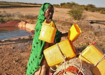 La place de la femme dans la lutte contre le changement climatique