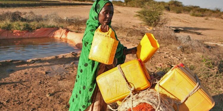 La place de la femme dans la lutte contre le changement climatique