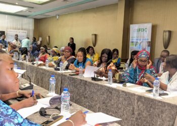Afrique de l’Ouest : IFDC donne aux femmes, « les moyens de transformer l’Agriculture »