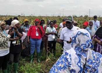 FeSeRWAM: les femmes formées à l&rsquo;utilisation de cette application innovante pour révolutionner l’agriculture