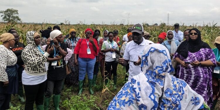 FeSeRWAM: les femmes formées à l&rsquo;utilisation de cette application innovante pour révolutionner l’agriculture