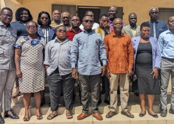 Le réseau MenEngage-Togo se dote d’un plan efficace pour lutter contre les VBG