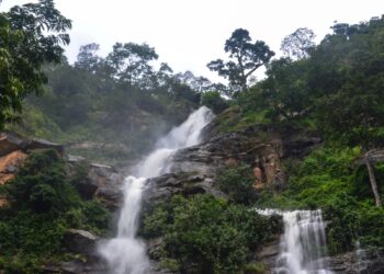 Kpalimé : un camp des sciences réunit les meilleures élèves filles aux différents examens au Togo