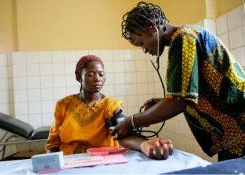 Santé maternelle : le district de Dankpen affiche des résultats encourageants