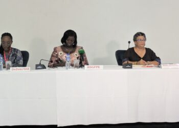 Togo : les Cellules Focales Genre au cœur d&rsquo;une réforme pour renforcer leur efficacité